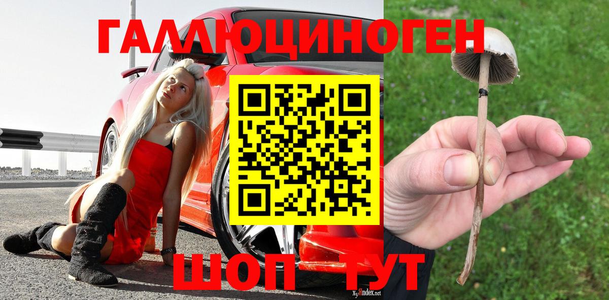 Галлюциногенные грибы ЛСД  Вход с VPN  Брянск 
