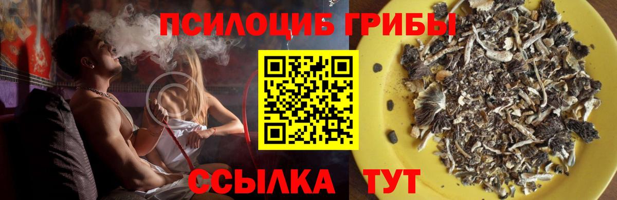 Псилоцибиновые грибы GOLDEN TEACHER Брянск
